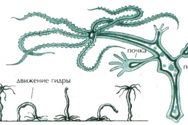 Кракен онион сайт ссылка kraken6.at kraken7.at kraken8.at