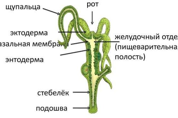 Кракен официальный сайт ссылка